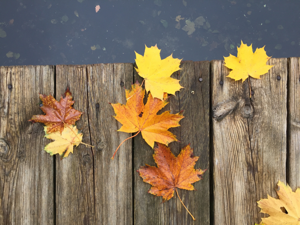 Urheber: Steffen Herre